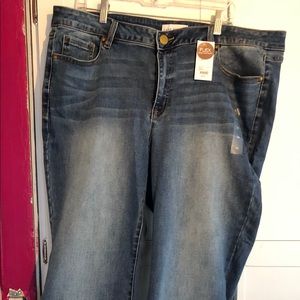 Lane Bryant Signature Fit Flare Jeans